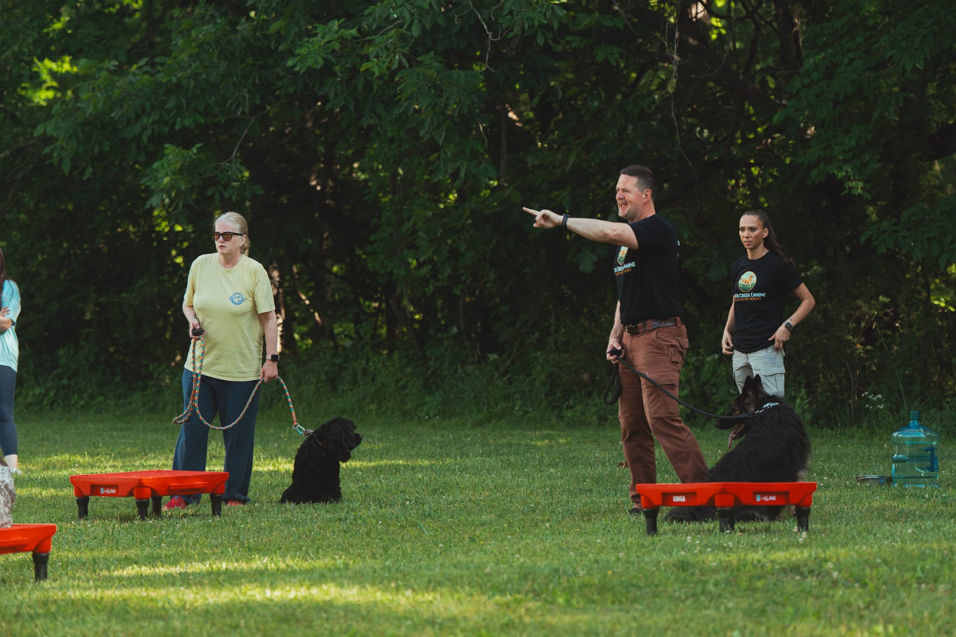 An outdoor group obedience class at Deer Creek Canine with dogs holding place on cots