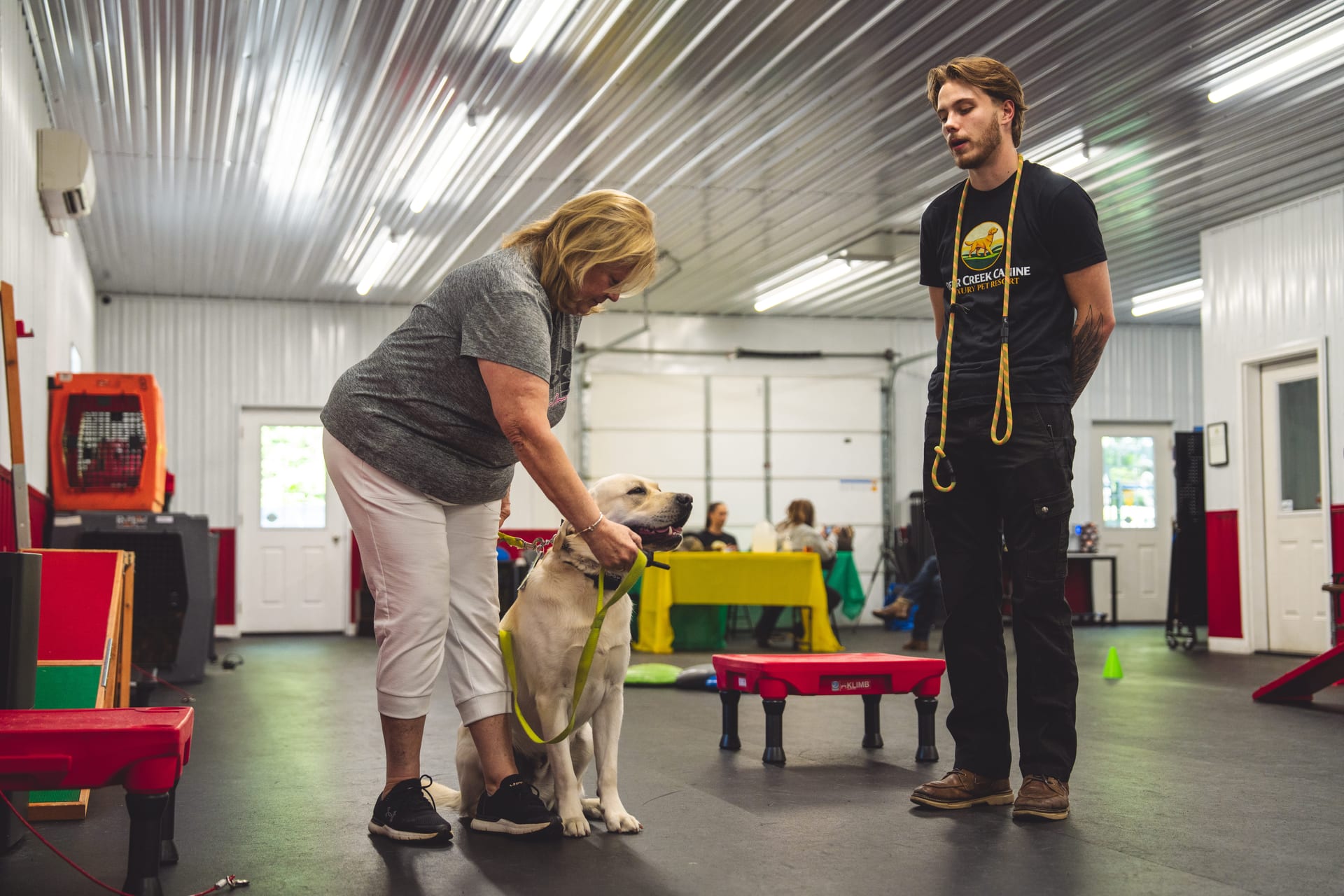 A one-on-one private dog training lesson at Deer Creek Canine
