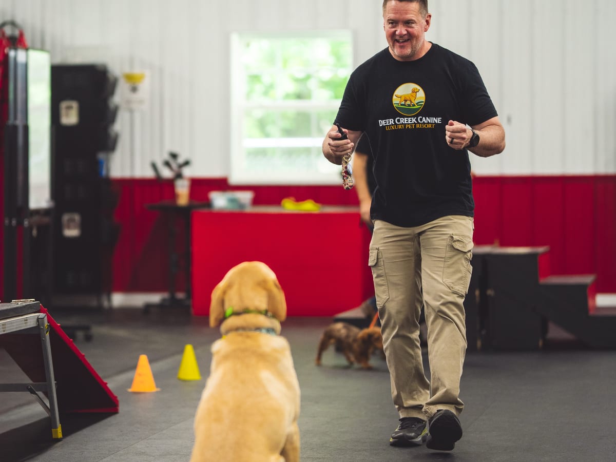 Deer Creek owner Matt running a recall drill with a Labrador in the indoor training barn