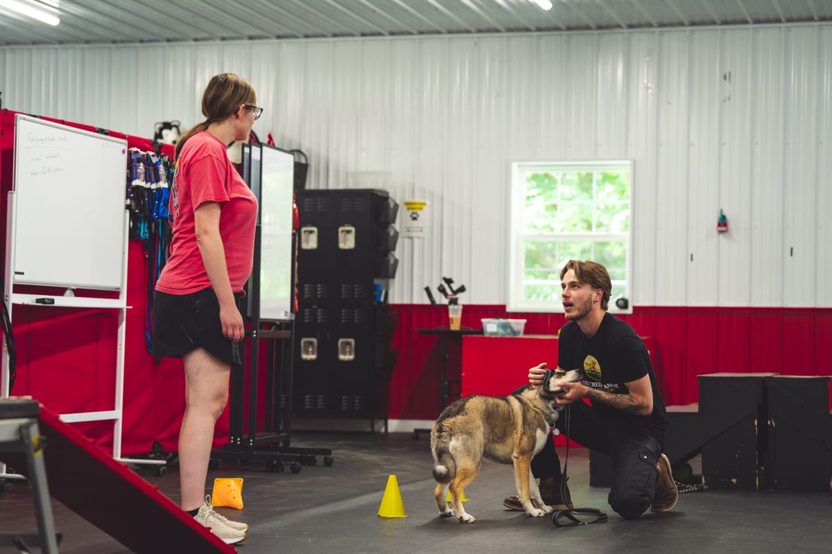 A Deer Creek Canine trainer working one-on-one with an owner and their dog