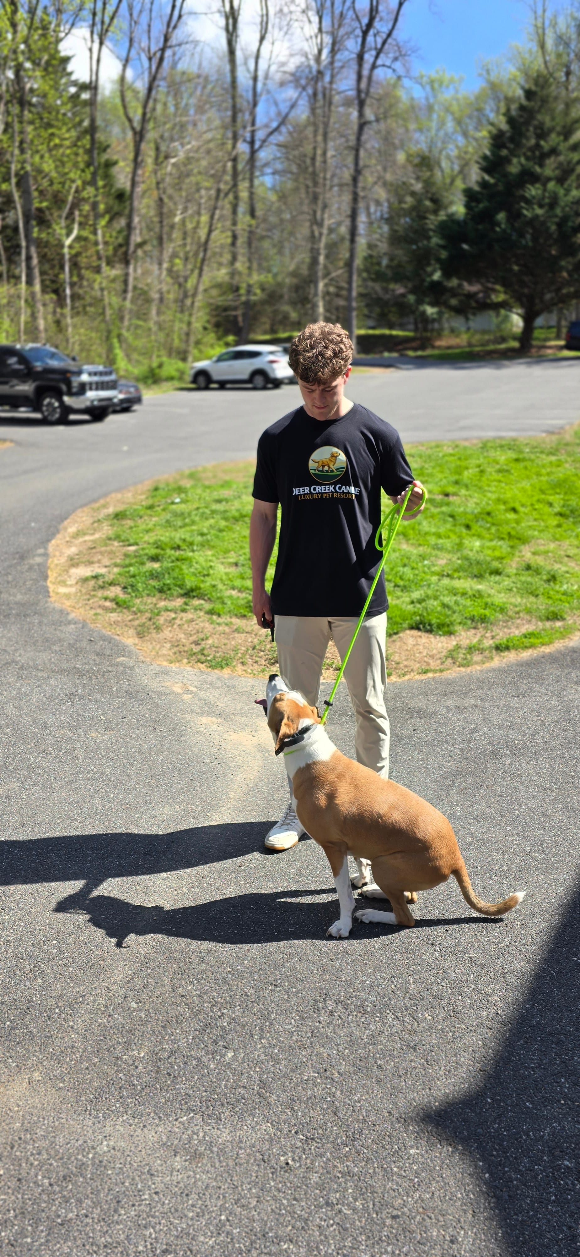 A Deer Creek trainer walking a dog outdoors