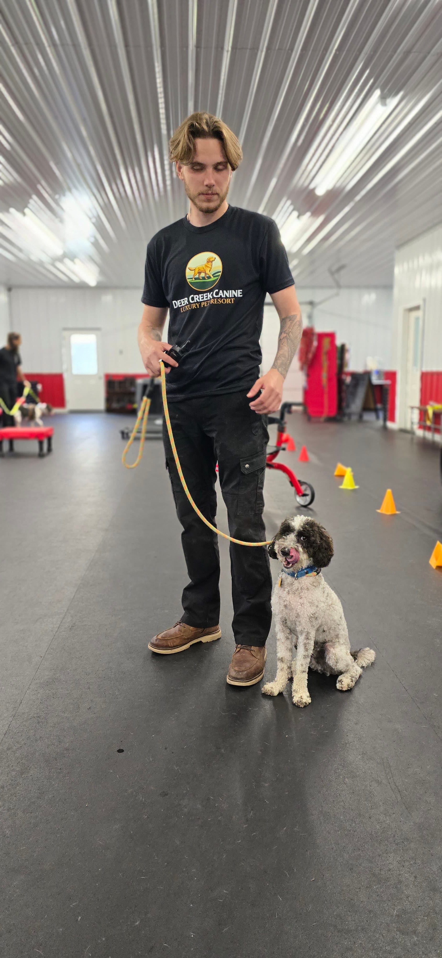 A trainer working a poodle indoors at the Deer Creek facility